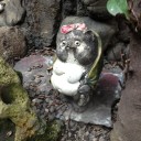 三寒四温