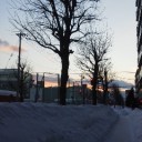 あかねさす紫野ゆき、しめの雪…