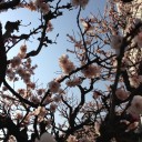 3月8日の日記