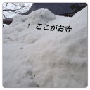 金曜日
