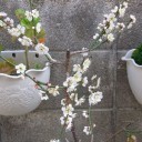 3月の、暖かい土曜日