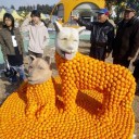 わけのわからんもの嫌い