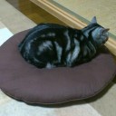 春といえばお花の粉