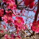 迷う…。