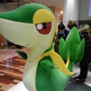 この角度以外では撮らないでください