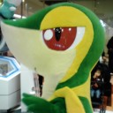 この角度以外では撮らないでください