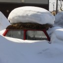 春は名のみの