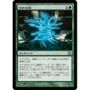 デッキメモ　Enchantment (ジャンドビートを倒したくて)