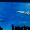 水族館