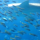水族館