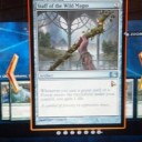 M14 スポイラー? 《Shadowborn Apostle》《Staff of the Wild Magus》
