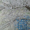 人生そう甘くない