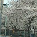 　アレ