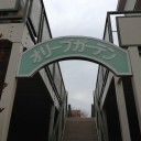 ネコちゃんず896日目