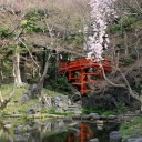 3月25日の日記