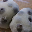 食べ物日記