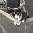 お墓参り