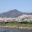 ことしにどめ・・