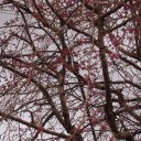 2013年3月25日１週間の振り返り