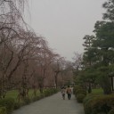 観光