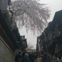 観光