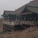 観光
