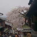 観光
