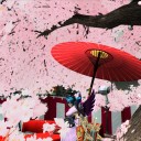 ☆10取引解禁になりましたが・・・・・