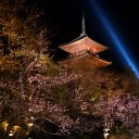 夜も散歩