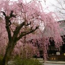 朝から