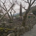 なぜ
