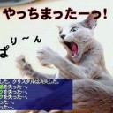 3月29日の日記