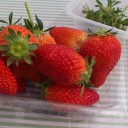 めんま、みーつけた
