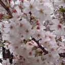 写真は心の鏡。
