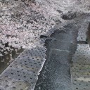 　サム～