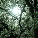 さよなら3月また来て4月