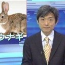 LMC千葉