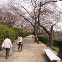 2013年3月31日岡山へ