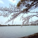 低カロリーが嬉しいもん
