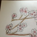 春爛漫