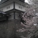 今日は金沢城とネコウサギカフェに行ってきました