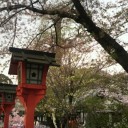 そうだ！京都行こう！?