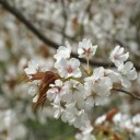 2013年4月13日の日記