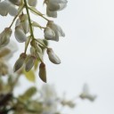 2013年4月13日の日記