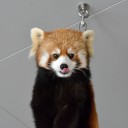 散歩写真