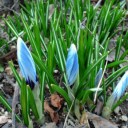 2013年4月13日（土）