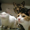 4月15日の日記