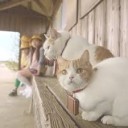 あいかわらず・・