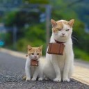 あいかわらず・・