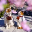 あいかわらず・・